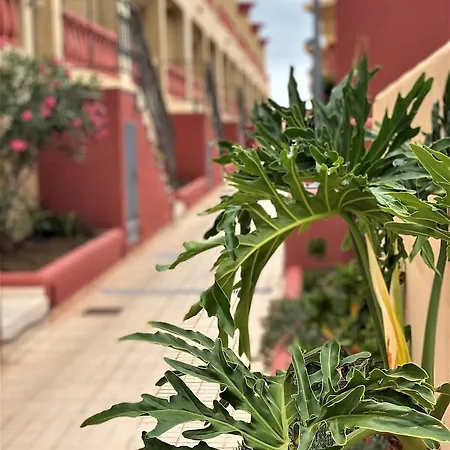 Laguna Park Ii Daire *