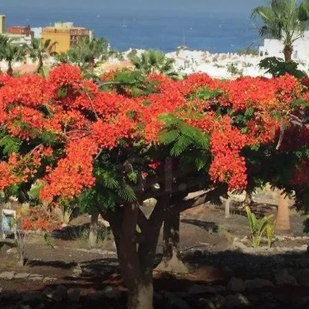 Daire Laguna Park Ii *